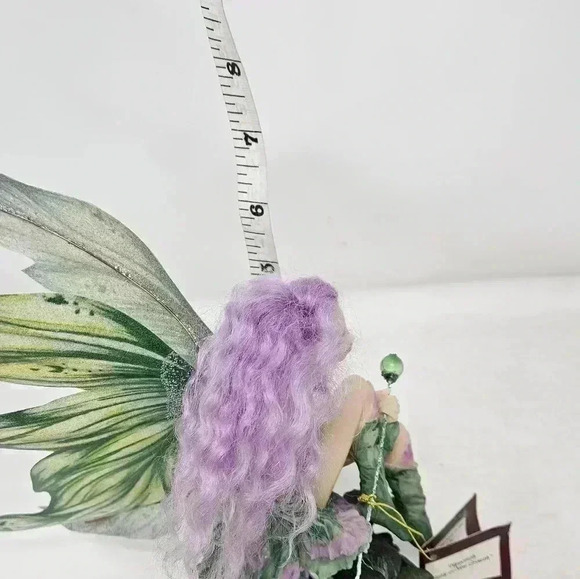 Hyacinth fairy of new growth - Picture 7 of 7